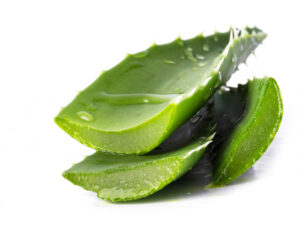 buy aloe vera online canaries